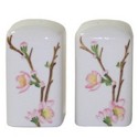 Corelle Cherry Blossom Salt and Pepper Set