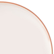 Oneida 24 Seven Colors Sunbaked