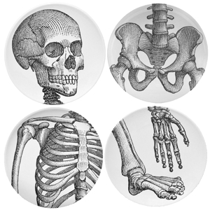 222 Fifth by PTS International Anatomy Lesson