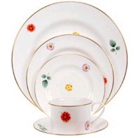 Astor Fine China by Spode