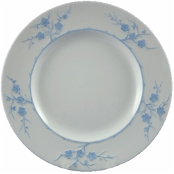 Blanche De Chine by Spode