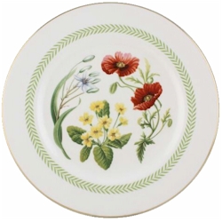 Country Lane Fine China by Spode