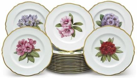 Rhododendron Fine China by Spode